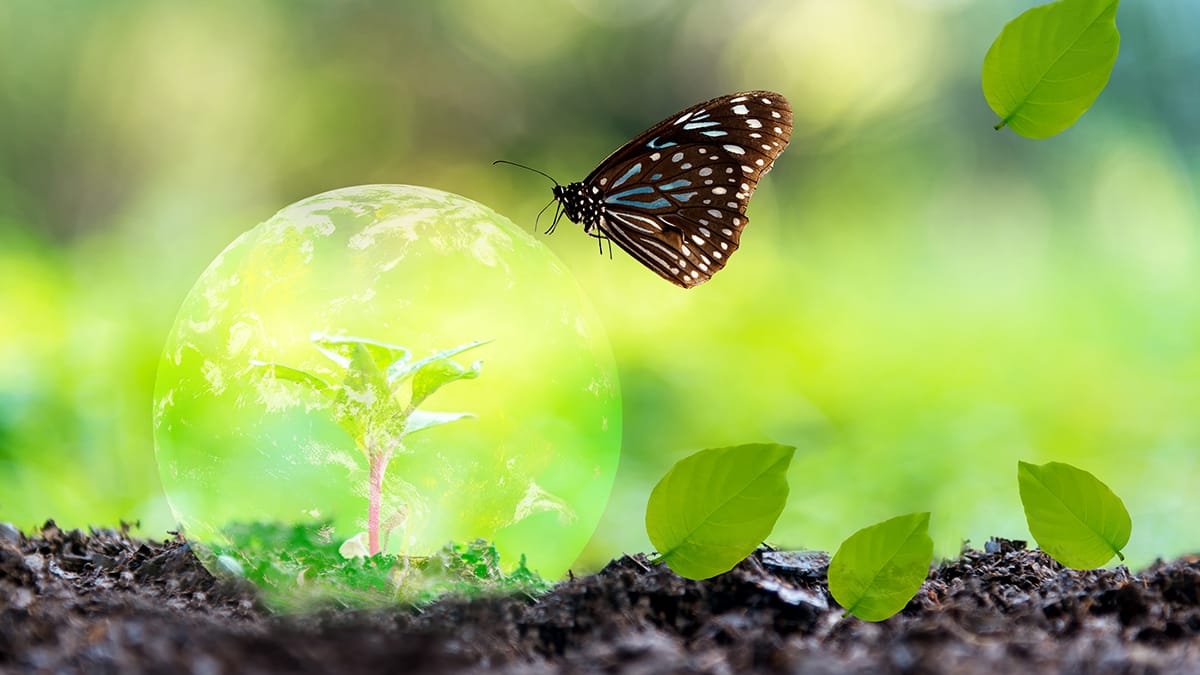 delito contra biodiversidad tráfico flora silvestre