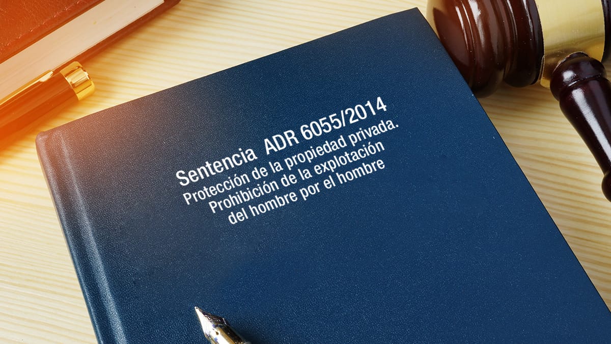 protección de la propiedad privada prohibición explotación