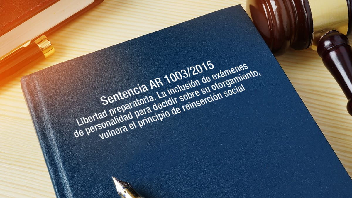 libertad preparatoria reinserción sociedad