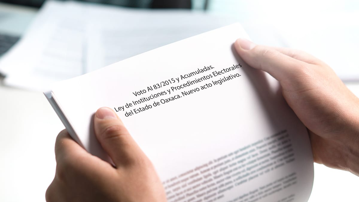 instituciones procedimientos electorales