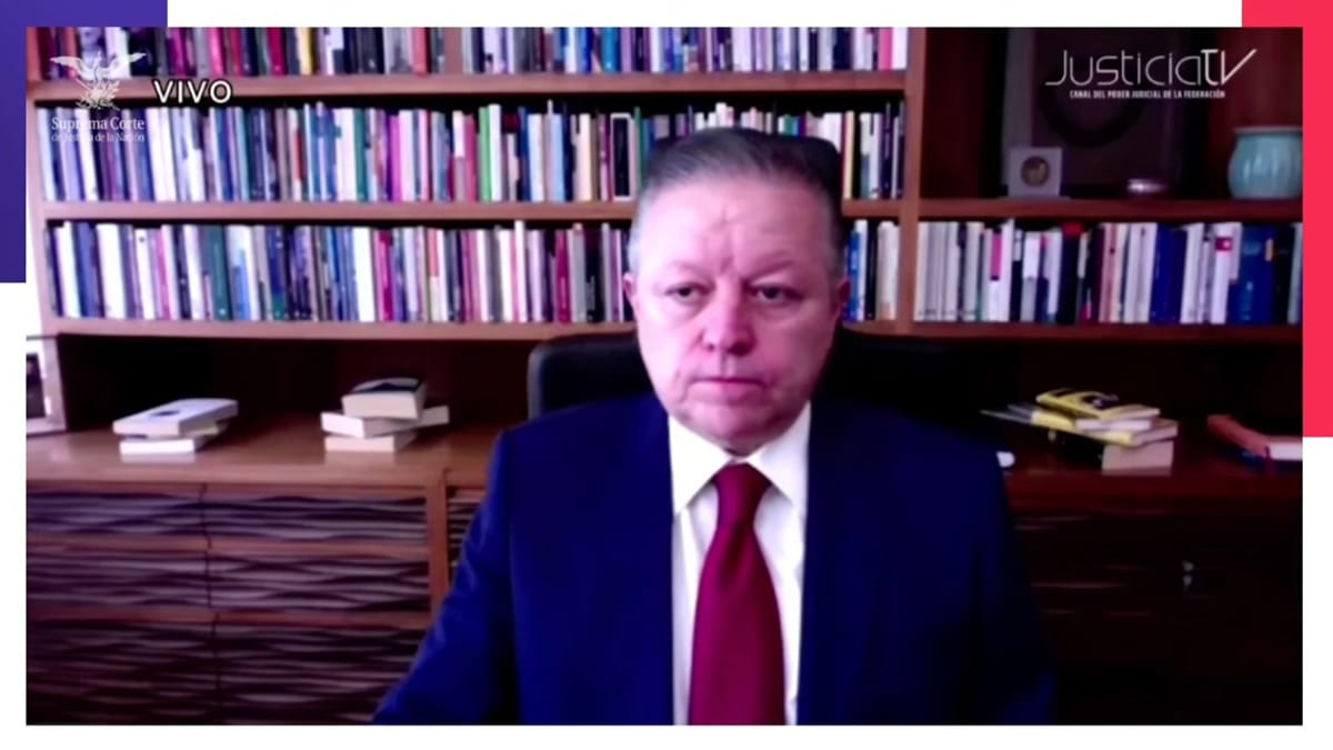 juzgador_juzgada_amij