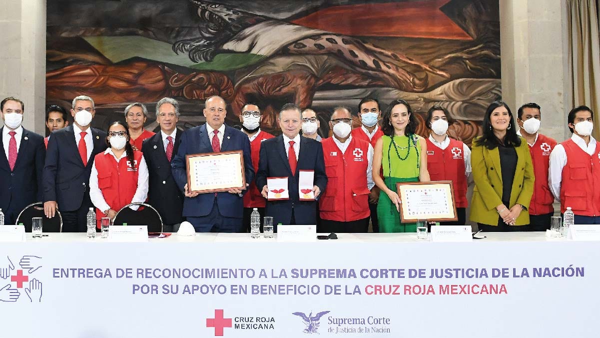 cruz roja reconocimiento